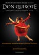 Icône de la proposition n°167 du concours                                                     Graphic Design for Classical ballet event called Don Quixote
                                                