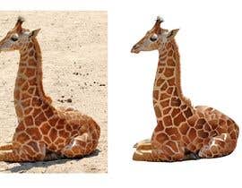 kadamravi tarafından Giraffe illustration in Adobe Illustrator için no 11