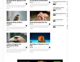 #15 for Niche newspaper Wordpress theme changes/creation by risj