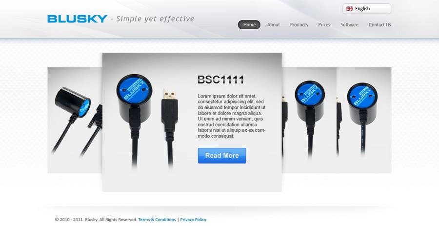 Proposta in Concorso #37 per                                                 Website Design for BLUSKY optical probes
                                            