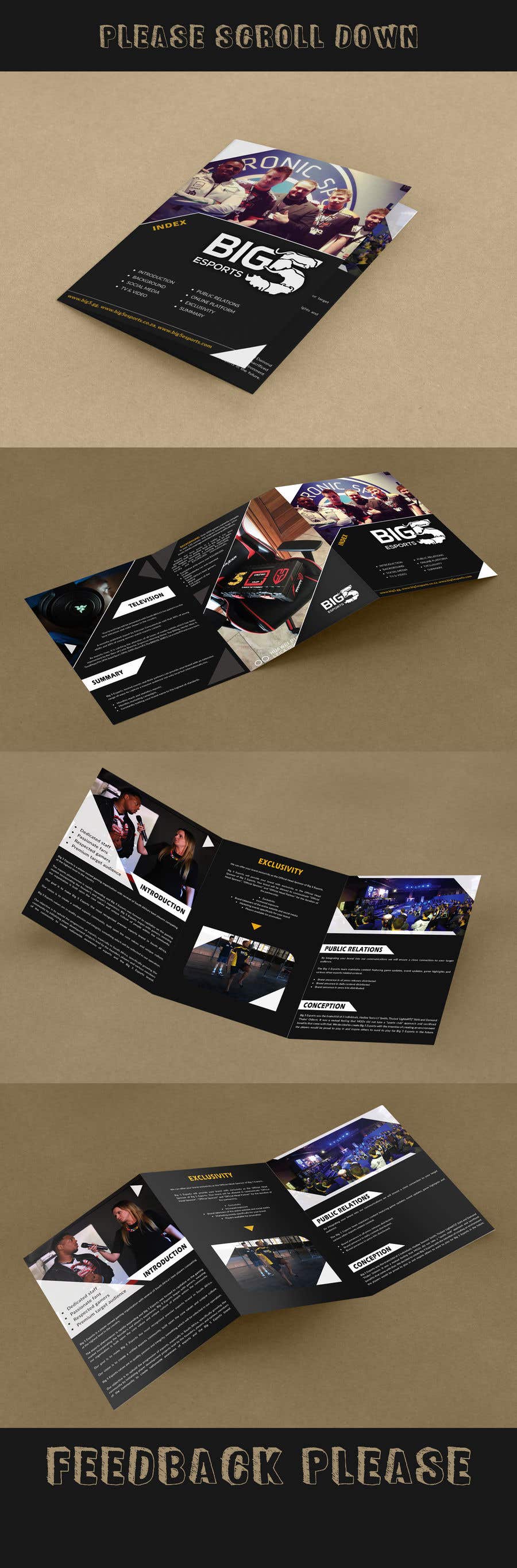 Συμμετοχή Διαγωνισμού #9 για                                                 Design a Brochure For A Esports Organization
                                            