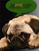 Náhled příspěvku č. 120 do soutěže                                                     "Pug Face" logo for new online messaging service
                                                