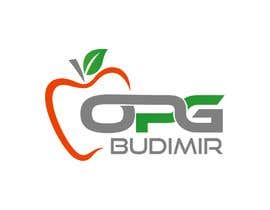 #33 ， Design for Company Logo  -  OPG Budimir 来自 bdghagra1