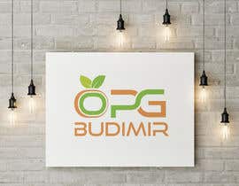 #13 ， Design for Company Logo  -  OPG Budimir 来自 mohibulasif