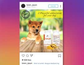 #42 para Design an Instagram Advertisement for my dog supplement (Multiple Winners) de evanpv