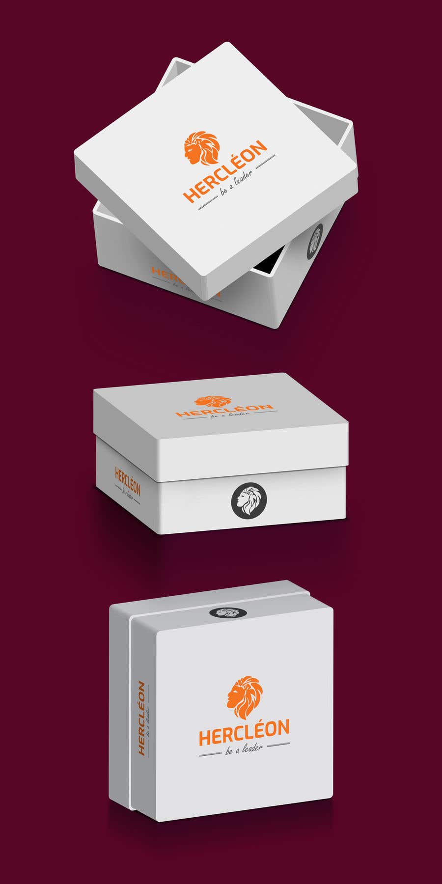 Participación en el concurso Nro.11 para                                                 Create Hat Packaging Box Designs
                                            