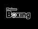 Imej kecil Penyertaan Peraduan #205 untuk                                                     Logo Design for Platinum Boxing
                                                