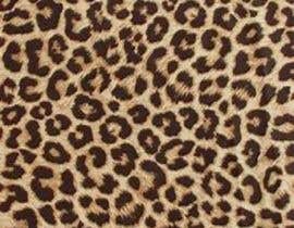 #29 para Vector file for leopard with the same shape as the pictures attached por Bejawadaduba
