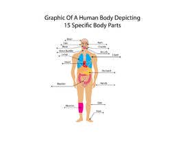 #54 for Body graphic for book about body awareness av golammostofa6462