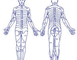 #1 Create a human body illustration részére almusbahaja által