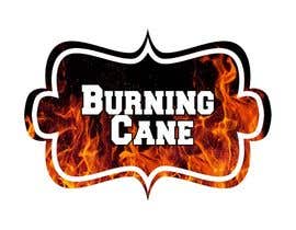 #79 for Design a Logo for Burning Cane af Adityay