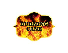#60 for Design a Logo for Burning Cane af asnan7