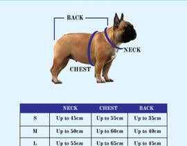 #11 per Design an image for dog clothing sizing chart da dewan1720