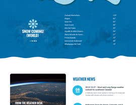 #30 para We want the best homepage for the ski industry de syrwebdevelopmen