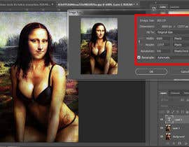 #17 untuk Photoshop a picture of Mona Lisa oleh Ahsanhabibafsari