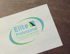 #45 para Logo + Business Card for Professional Cleaning Service de Dolafalia646