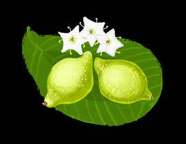#54 for MAKE ME A HAND DRAWN IMAGE OF KAKADU PLUM FOR PACKAGE by NatalieNikkol