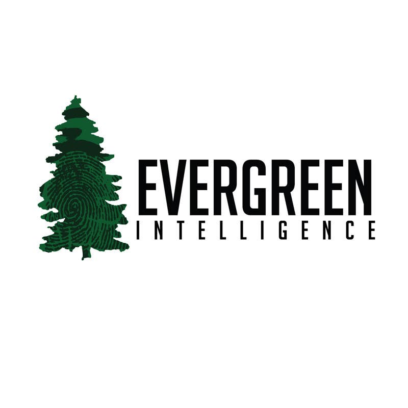 Konkurrenceindlæg #67 for                                                 Logo Design for Evergreen Intelligence
                                            