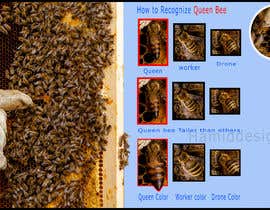 #4 สำหรับ Queen bee recognition โดย Authentic1Man
