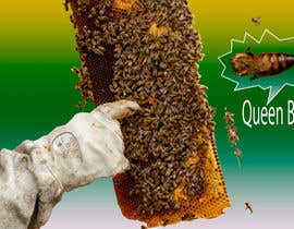#7 สำหรับ Queen bee recognition โดย Romshed