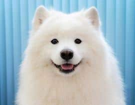 #17 for Vectorized Samoyed Dog Images - Graphic Design Project by naeemjr