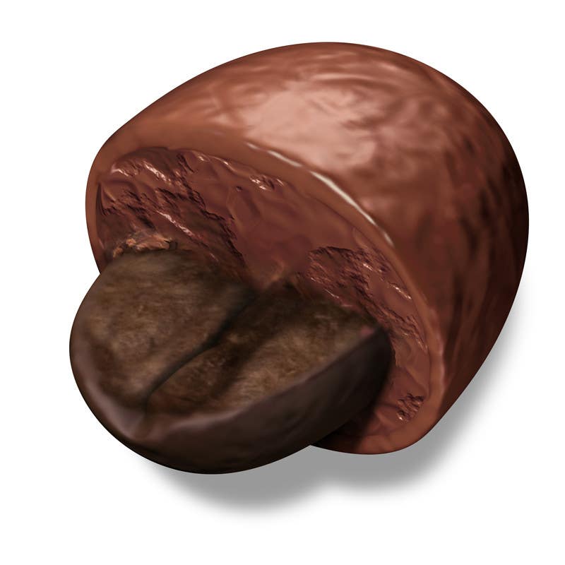 
                                                                                                                        Proposition n°                                            26
                                         du concours                                             HD Image of coffee bean coated in chocolate
                                        