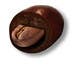 
                                                                                                                                    Icône de la proposition n°                                                6
                                             du concours                                                 HD Image of coffee bean coated in chocolate
                                            