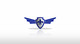 Miniatura da Inscrição nº 45 do Concurso para                                                     Logo Design for Aviation site
                                                