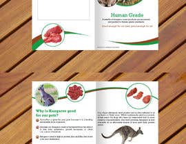 #68 for Create a brochure by stylishwork