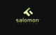 Мініатюра конкурсної заявки №73 для                                                     Logo Design for Salomon Telecom
                                                