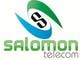 #237. pályamű bélyegképe a(z)                                                     Logo Design for Salomon Telecom
                                                 versenyre