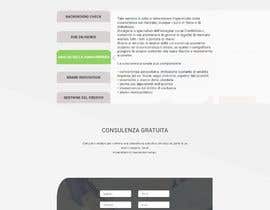 #57 for Proposal for a single webpage restyling by muizulhassan12
