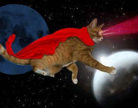 #2 для Photoshop my cat flying through the sky like superman від AdnanAich