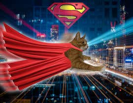 #4 для Photoshop my cat flying through the sky like superman від emastojanovska