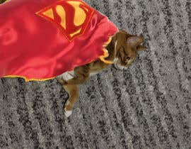 #1 для Photoshop my cat flying through the sky like superman від pharmacistlife