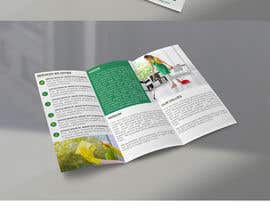 #9 za Commercial Cleaning Brochure od sohelrana210005