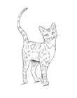 #24 for Digital Artist for Multi-Book Deal - must be able to draw realistic, elegant cats (&amp; other animals) by DorianLudewig