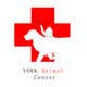 Miniatura de participación en el concurso Nro.84 para                                                     Logo for “YORK Animal Center”
                                                