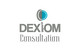Miniatura de participación en el concurso Nro.190 para                                                     Logo Design for Consultation Dexiom inc.
                                                