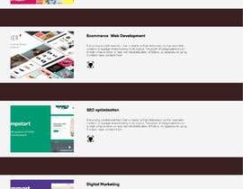 Nambari 38 ya Need Single page portfolio website for web developer na srizn