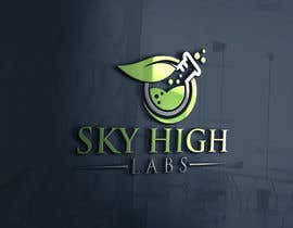 #158 for Logo design for Sky High Labs by mozibulhoque666