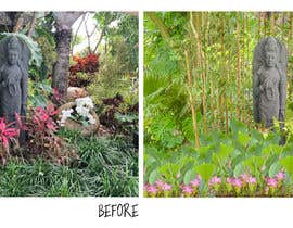 Nambari 42 ya Photoshop Plants Into Real Life Photos for Proposed Landscape Design na FatmanurB