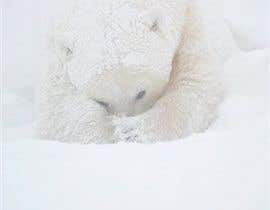 #32 for Modify images of polar bears by Monir24BD
