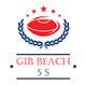 Icône de la proposition n°12 du concours                                                     Design a Logo for Beach Rugby - Use your imagination!
                                                