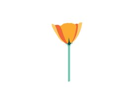 #7 ， Vector Flower Icons 来自 habibhullio