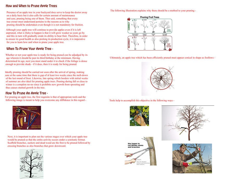 Contest Entry #8 for                                                 Do some Research on a list of Gardening and Tree Pruning topics for Australian conditions
                                            