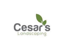 #139 untuk Logo for Landscaping Company oleh mssamia2019