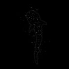 #62 para Whale shark constellation design de acaste18