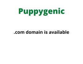 #61 for need a available domain name that is not thousands of dollars by msislam2020