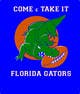 Predogledna sličica natečajnega vnosa #22 za                                                     Design a T-Shirt for ( Florida Gator Football )
                                                
